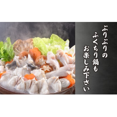 とらふぐ料理フルコース鶴盛・菊盛 約10人前 AQ201_1