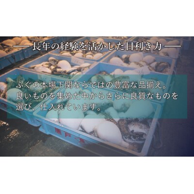 とらふぐ料理フルコース鶴盛・菊盛 約10人前 AQ201_1