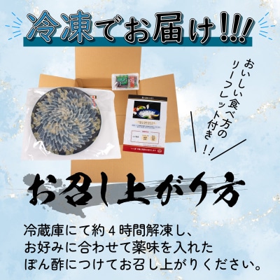 【ふぐ刺し】 とらふぐ刺し 4~5人前 冷凍 合計 130g BV023