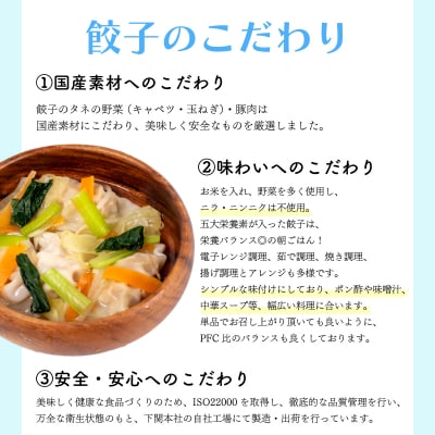シモノセキギョウザ 120個 30個×4パック 冷凍 小分け ぎょうざ IB009-y