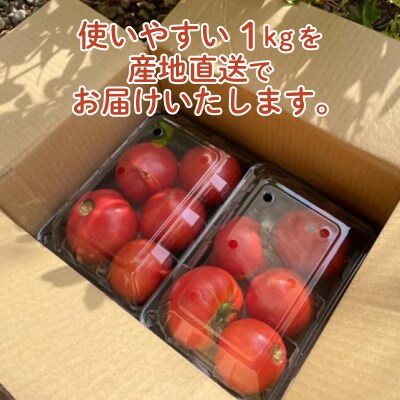 【 期間限定 】 トマト 訳あり 1kg 大玉 産地直送 下関 山口 IM002-z