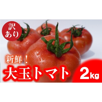 【期間限定】 トマト 訳あり 大玉 2kg 産地直送 下関 山口 IM002-NT-x