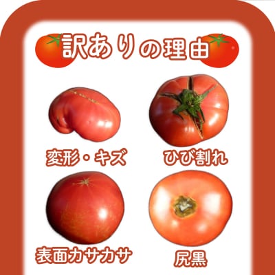 【2027年4月～発送】 トマト 訳あり 大玉 2kg 産地直送 下関 山口 IM002-NT-x