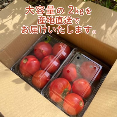 【期間限定】 トマト 訳あり 大玉 2kg 産地直送 下関 山口 IM002-NT-x
