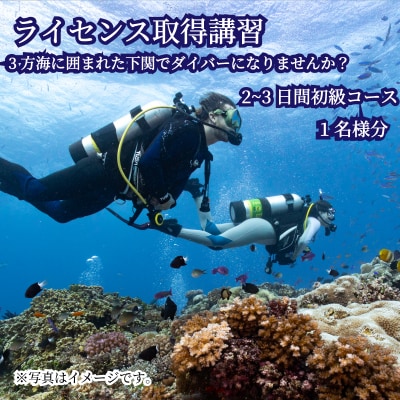 初級 スキューバダイビング ライセンス取得コース Cカード チケット 海 下関 山口 JQ001
