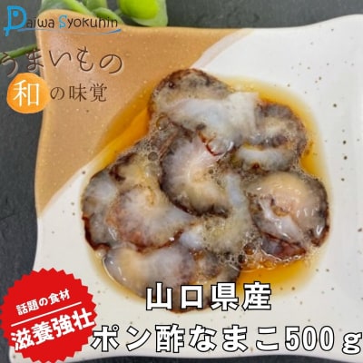 山口県産ポン酢なまこ 500g 冷凍 JD001-x