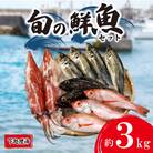 旬 鮮魚 ボックス 約 3kg 下処理 済 詰め合わせ セット 刺身 下関 山口 IA102