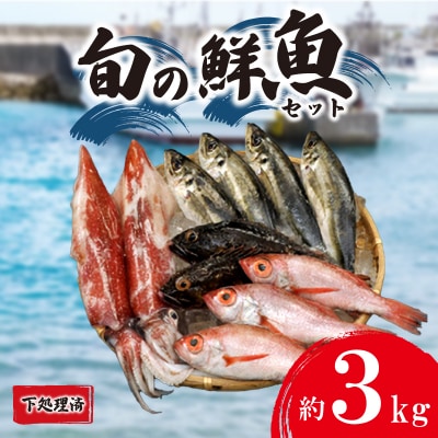 旬 鮮魚 ボックス 約 3kg 下処理 済 詰め合わせ セット 刺身 下関 山口 IA102