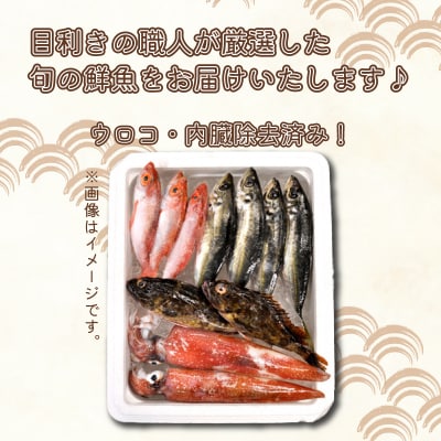 旬 鮮魚 ボックス 約 3kg 下処理 済 詰め合わせ セット 刺身 下関 山口 IA102