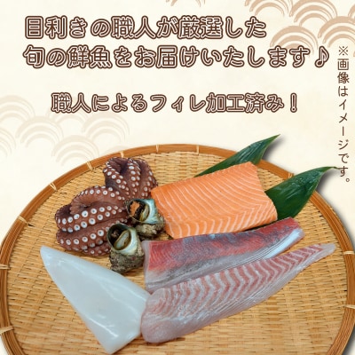 旬 鮮魚 ボックス フィレ加工済 800g~1.2kg 詰め合わせ 刺身 下関 山口 IA101-f
