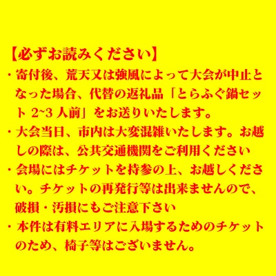 関門海峡花火大会  スポンサーエリア入場券 1名様 花火 大会 旅行 関門 下関 山口 KR002