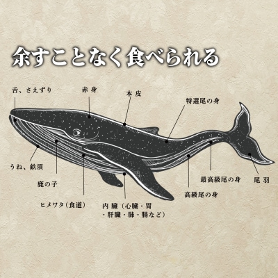下関鯨屋 日新丸 鯨の詰合せ 6種(竜田揚、赤身肉、おばいけ、舌ボイル 他) 下関 山口 FG036
