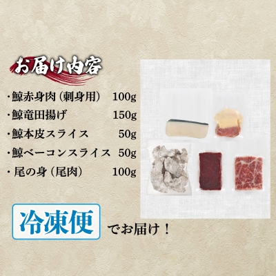 下関鯨屋 日新丸 鯨の詰合せ 5種(竜田揚、赤身肉、尾の身、本皮スライス他) 下関 山口 FG040