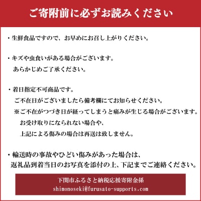 【期間限定】 じゃがいも 5kg 産地直送 デストロイヤー 下関 山口 IN101
