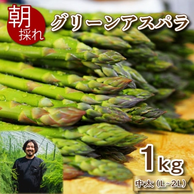 【期間限定】 アスパラガス 1kg 中太サイズ 朝採れ L~2L 下関 山口 FS103