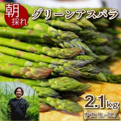 【期間限定】 アスパラガス 2.1kg 中太サイズ 朝採れ L~2L 下関 山口 FS104