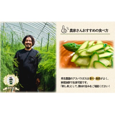 【期間限定】 アスパラガス 2.1kg 中太サイズ 朝採れ L~2L 下関 山口 FS104