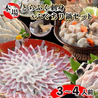 とらふぐ刺身とふぐちりセット ふぐひれ付き 3～4人前 冷蔵 (解凍出荷) 下関 山口 FG022