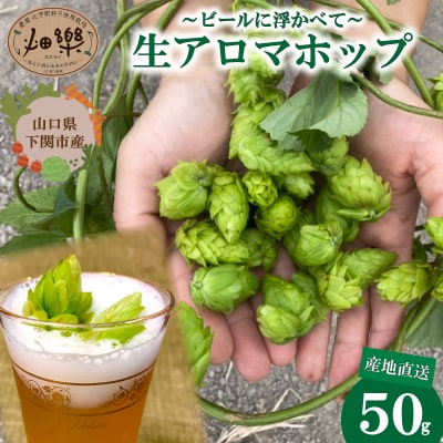 生ホップ ～ビールに浮かべて～ 50g 下関 山口 IN102