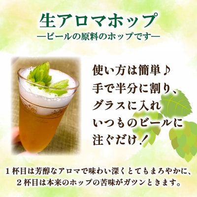 生ホップ ～ビールに浮かべて～ 50g 下関 山口 IN102