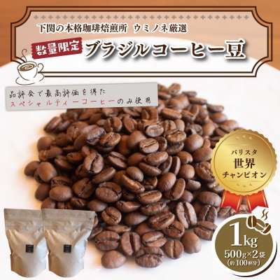 訳あり コーヒー豆(ブラジル レッド カトゥアイ) 500g×2袋 EW155-A