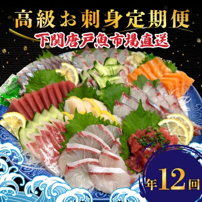 【定期便年12回】 唐戸市場直送 高級お刺身 各2人前 毎月発送 冷凍 真空 鮮魚 EY025-x