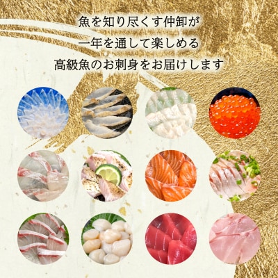 【定期便年12回】 唐戸市場直送 高級お刺身 各2人前 毎月発送 冷凍 真空 鮮魚 EY025-x