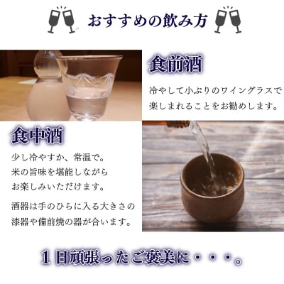 下関 SPIRIT OF 445 純米大吟醸酒 720ml × 2本 EW135