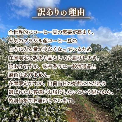 【定期便】訳あり コーヒー豆 800g(400g×2袋) ブラジル 隔月3回 EW156-x