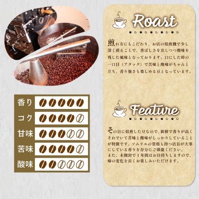 【定期便】訳あり コーヒー豆 800g(400g×2袋) ブラジル 隔月3回 EW156-x