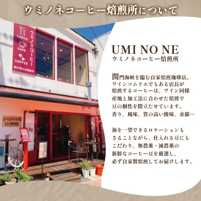 【定期便】訳あり コーヒー豆 800g(400g×2袋) ブラジル 隔月3回 EW156-x