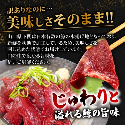訳あり 鯨 赤身 ブロック 刺身 1kg 冷凍 ( くじら クジラ 赤肉 ) 下関 山口 BY117