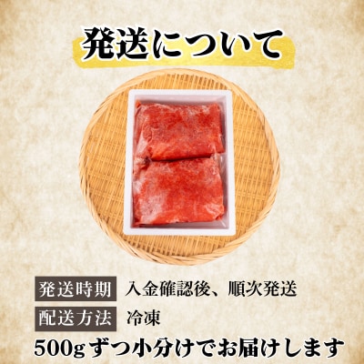 訳あり 辛子めんたいこ 並切 1kg 冷凍 明太子 ばらこ 小分け 海鮮 FT004
