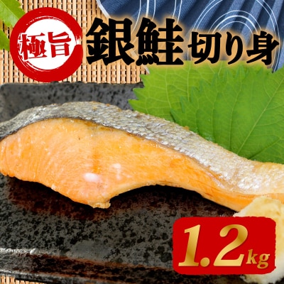 甘塩 銀鮭 切身 1.2kg 冷凍 片身分 鮭 サーモン 切り身 下関 山口 BP120