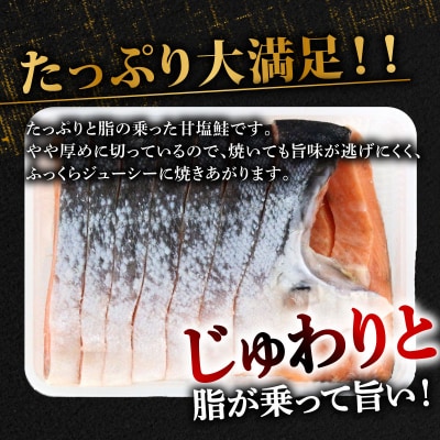 甘塩 銀鮭 切身 1.2kg 冷凍 片身分 鮭 サーモン 切り身 下関 山口 BP120