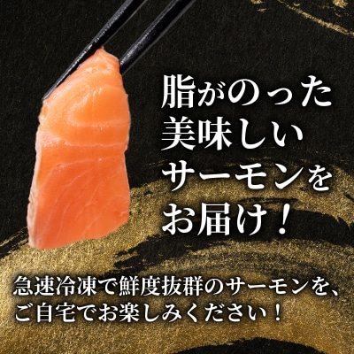 訳あり サーモンブロック 1kg 冷凍 下関 山口 EY027