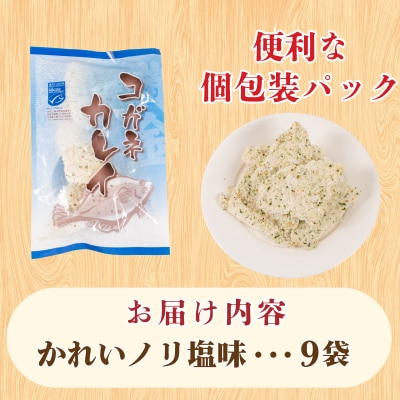 骨取りかれい フライ のり塩ガーリック味 160g×9 冷凍 松岡シーフーズ 下関 山口 JT003