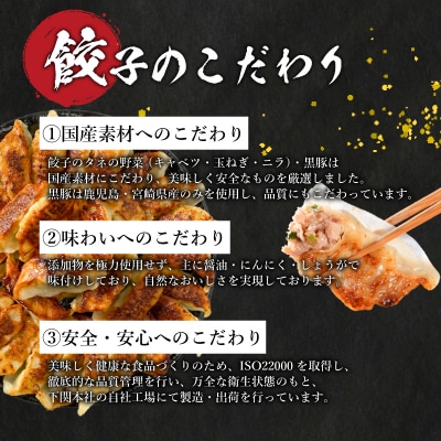 訳あり 黒豚餃子 3回 隔月 定期便 72個 12個×6パック 冷凍 下関 山口 IB014-x