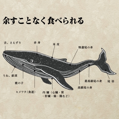 鯨 ( くじら ) 赤身 ブロック 500g 冷凍 下関 FG043