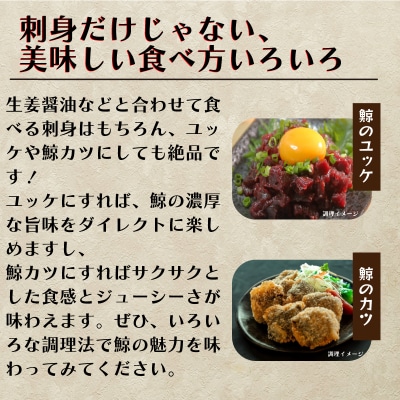 鯨 ( くじら ) 赤身 ブロック 500g 冷凍 下関 FG043