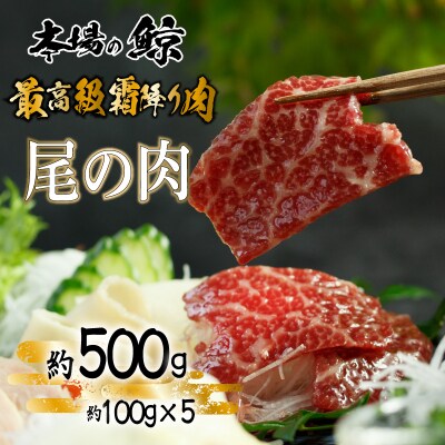 鯨 ( くじら ) 霜降り 肉 500g 冷凍 下関 山口 FG046