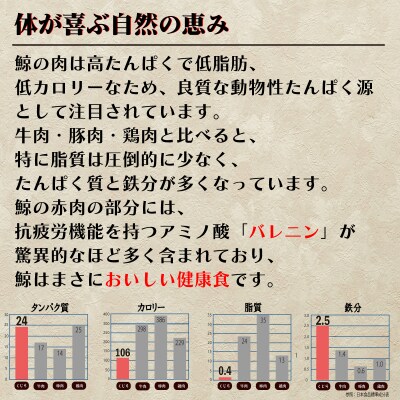 鯨 ( くじら ) 霜降り 肉 500g 冷凍 下関 山口 FG046
