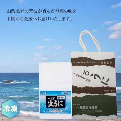 一汐紫生うに 55g JP001