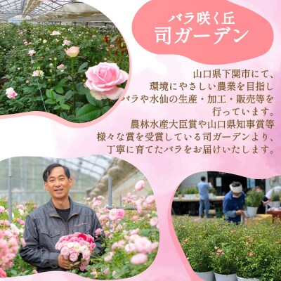 バラ 花束 50本 ミックス JI008-6