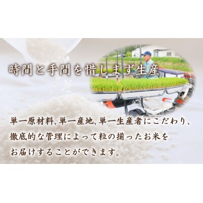 【令和7年産米】 しきゆたか 10kg (5kg×2袋) 《内日三町:DZ8010》