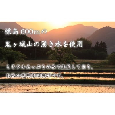 【令和7年産米】 しきゆたか 10kg (5kg×2袋) 《内日三町:DZ8010》