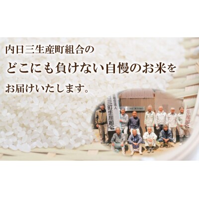 【令和7年産米】 しきゆたか 10kg (5kg×2袋) 《内日三町:DZ8010》