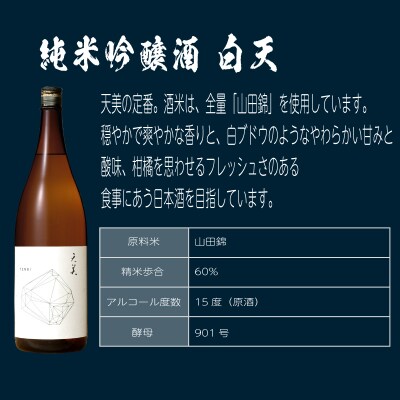 日本酒 2本セット 特別純米酒 純米吟醸酒 天美 720ml×2 ES105
