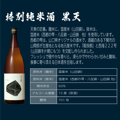 日本酒 2本セット 特別純米酒 純米吟醸酒 天美 720ml×2 ES105