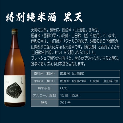 日本酒 2本セット 特別純米酒 純米吟醸酒 天美 720ml×2 ES105